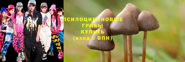 соль курить ск Алзамай