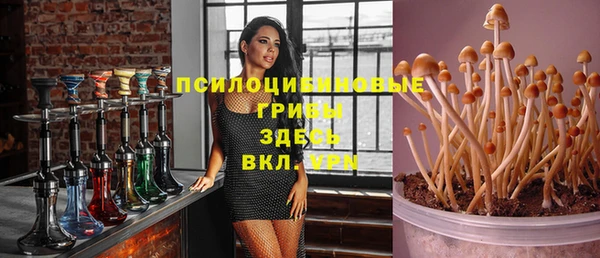 стафф Алексин