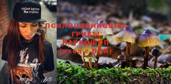 СК Алексеевка